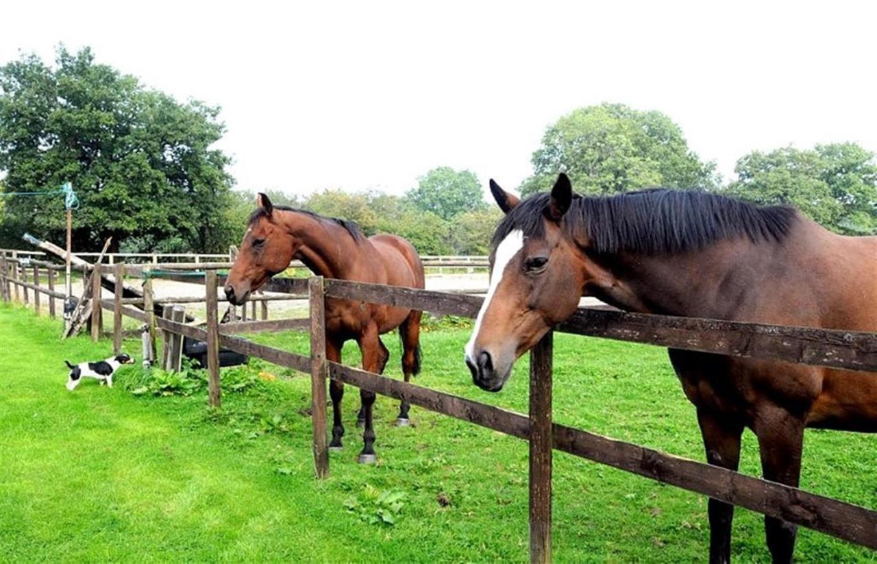 Little Rushbrook Cottages Tanworth Quarto foto